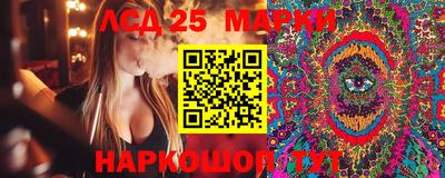 ГАЛЛЮЦИНОГЕННЫЕ ГРИБЫ Кинель