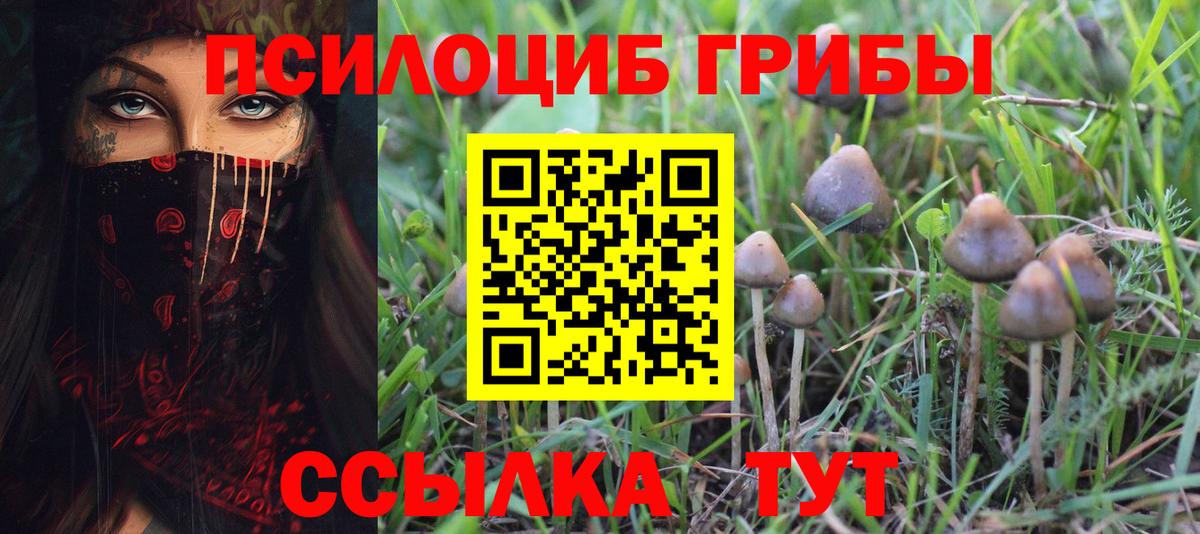 Галлюциногенные грибы Psilocybine cubensis  Вход с VPN  Краснокаменск 